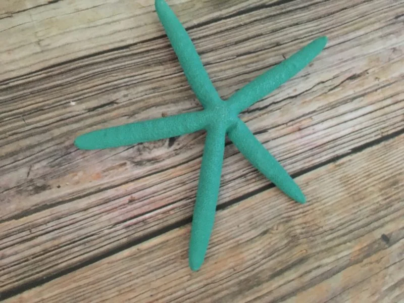 Turquoise Finger Starfish Wall Decor - Image 5