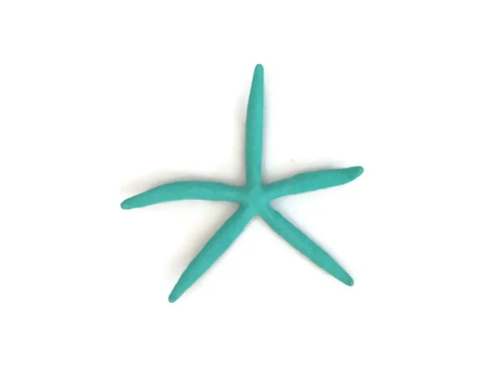 Turquoise Finger Starfish Wall Decor - Image 3