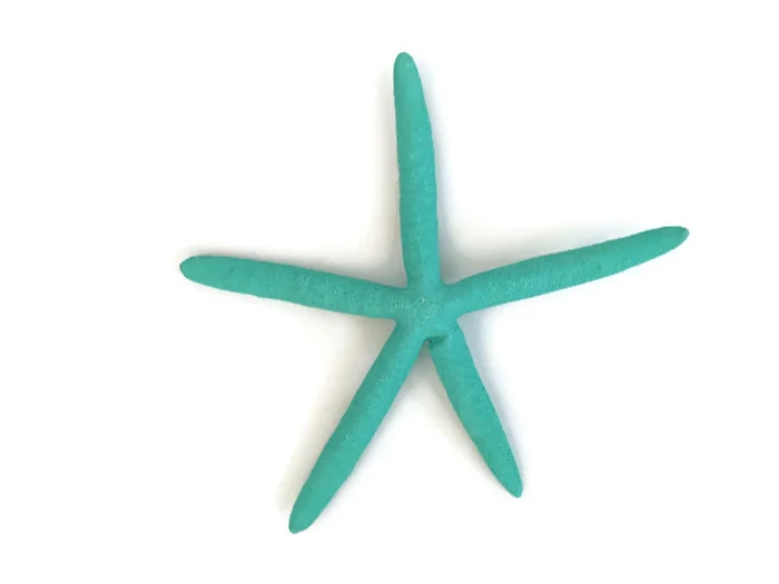 Turquoise Finger starfish wall hanging