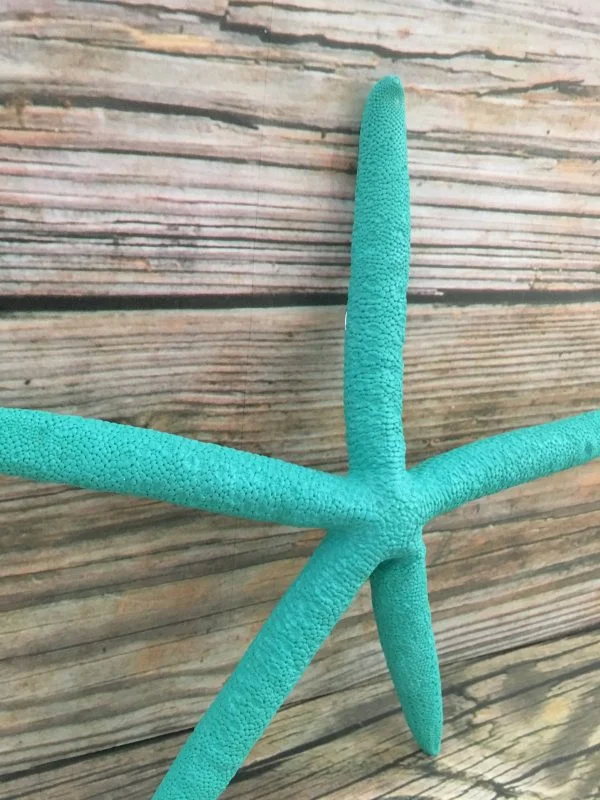 Turquoise Finger Starfish Wall Decor - Image 4