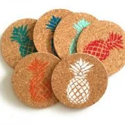 Colorful Pineapple Coaster Set