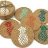 Colorful Pineapple Coaster Set 4