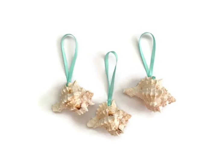 Mini-pink-murex-shell-ornaments-6