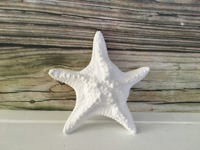 Tropical White Starfish Wall Decor Sea 2 Land Designs White Starfish Wall Decor