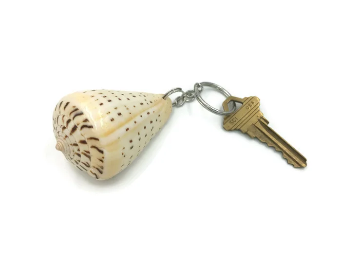 Spotted Cone Seashell Key Ring 3