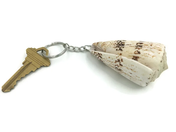 White and Brown Cone Shell Key Ring 4