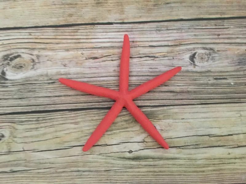 Coral Finger Starfish Wall Decor - Image 4