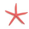 Coral Starfish Wall Hanging
