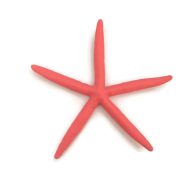 Coral Starfish Wall Hanging