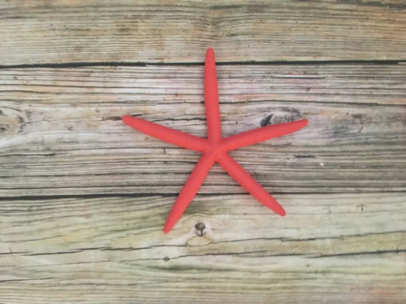 Coral Finger Starfish Wall Decor - Image 2
