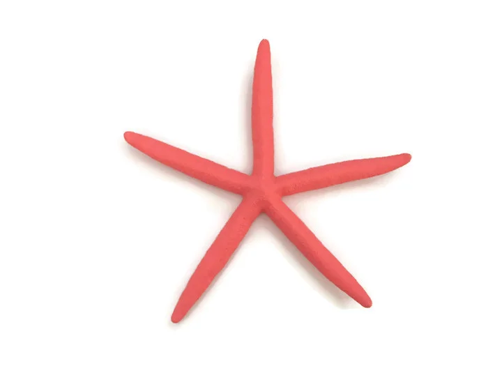Coral Starfish Wall Hanging