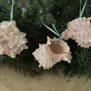 Glittered Large Pink Murex Ornaments 1