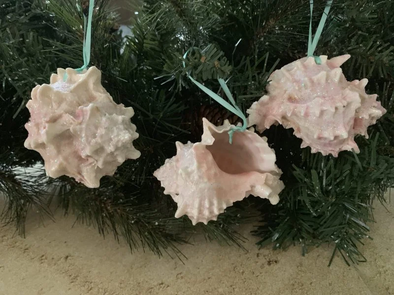 Glittered Large Pink Murex Ornaments 1
