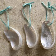 Pearl Abalone Seashells Ornaments