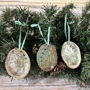 Small Abalone Ornaments