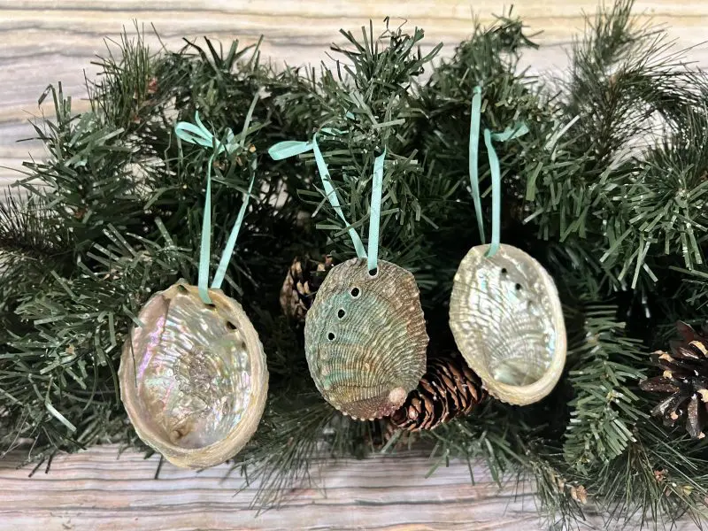 Small Abalone Ornaments