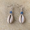 Cowrie With Blue Turquoise Bead Earrings 1