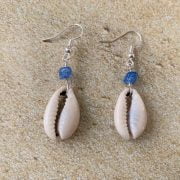 Cowrie With Blue Turquoise Bead Earrings 1