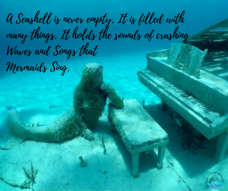 A Seashell is never empty. It is filled with many things. It holds the sounds of crashing Waves and Songs that Mermaids Sing.