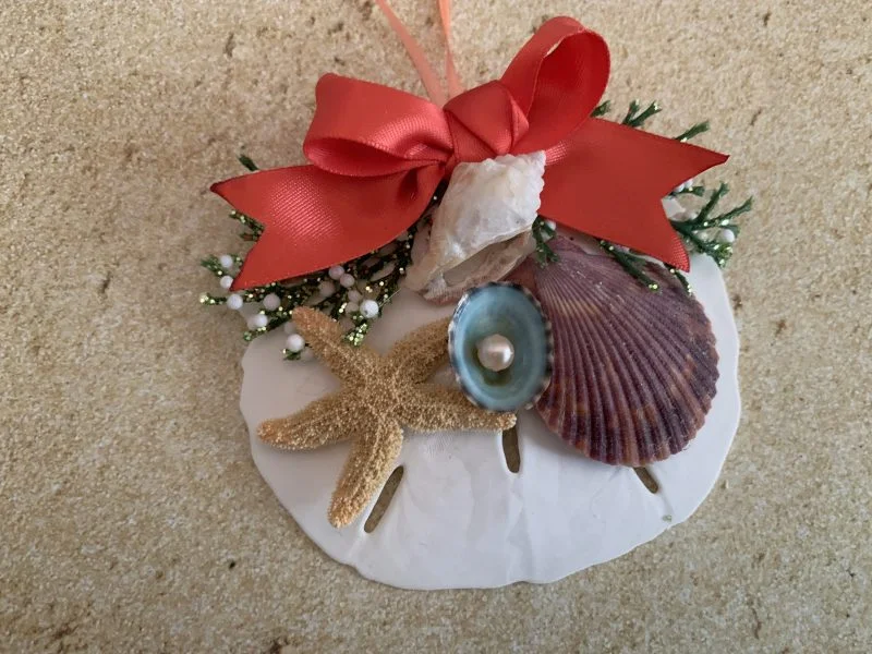 Unique Sand Dollar Christmas Tree Ornament with Coral Ribbon - Image 3