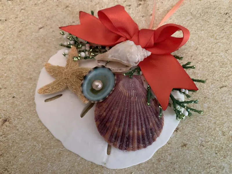 Unique Sand Dollar Christmas Tree Ornament with Coral Ribbon - Image 2