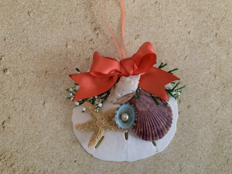 Unique Sand Dollar Christmas Tree Ornament with Coral Ribbon - Image 4