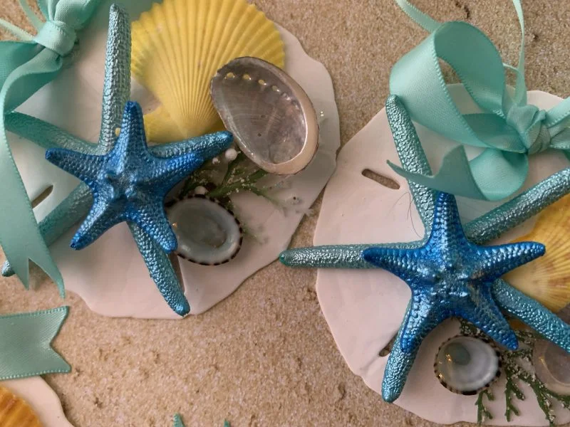 Unique Sand Dollar Christmas Tree Ornament with Turquoise Ribbon and Seashells - Image 14