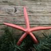 Metallic Coral Starfish Topper