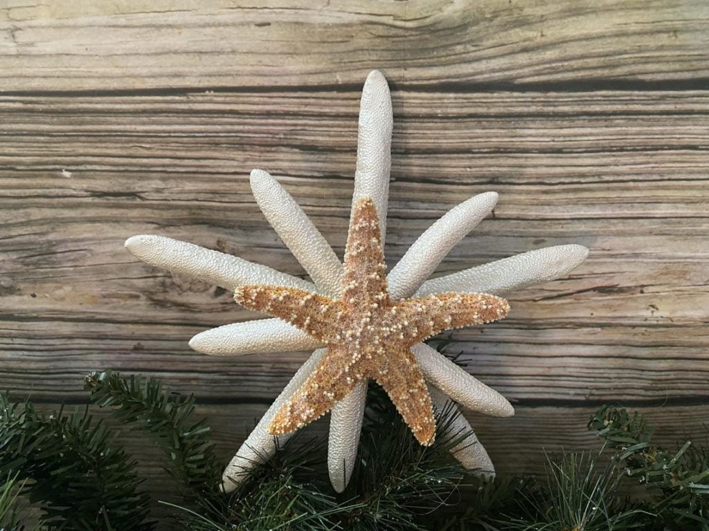 triple with sugar starfish