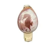 cowrie seahorse night light