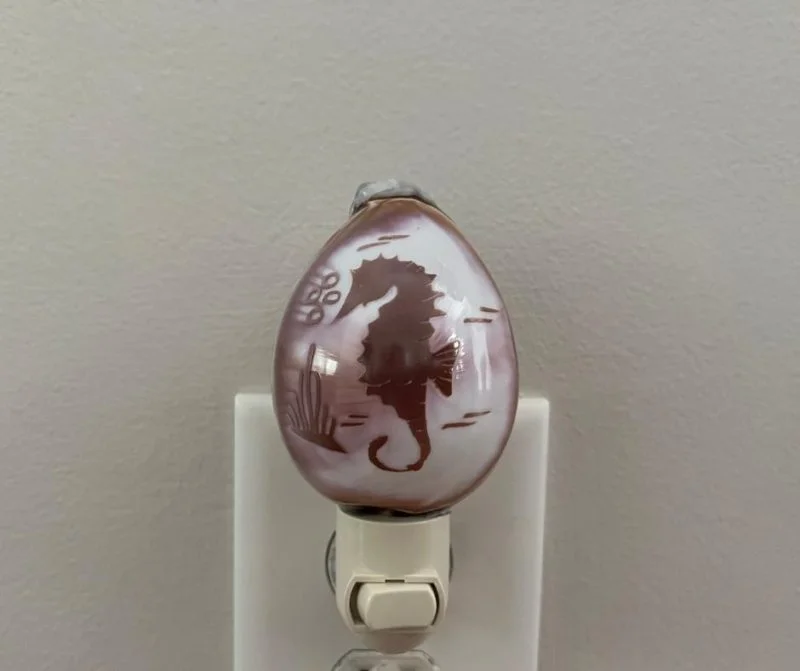 Sea Horse Carved Cowrie Seashell Night Light - Image 3