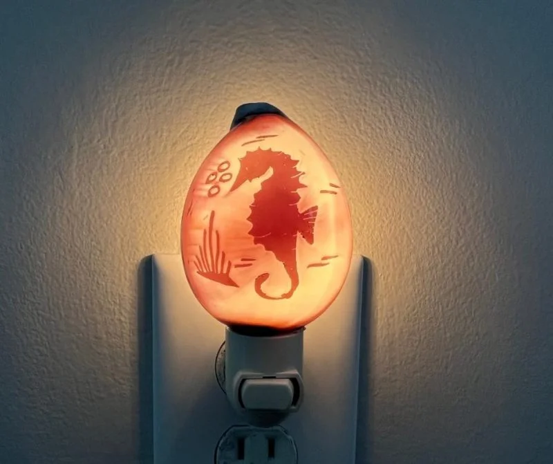 Sea Horse Carved Cowrie Seashell Night Light - Image 2