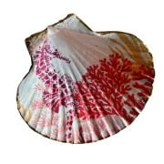 seahorse shell dish