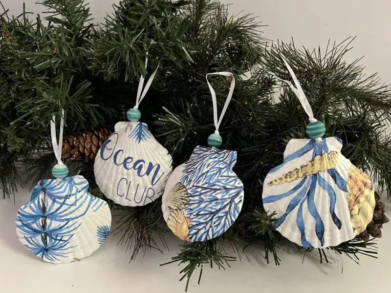 Ocean Club Seashell Ornaments