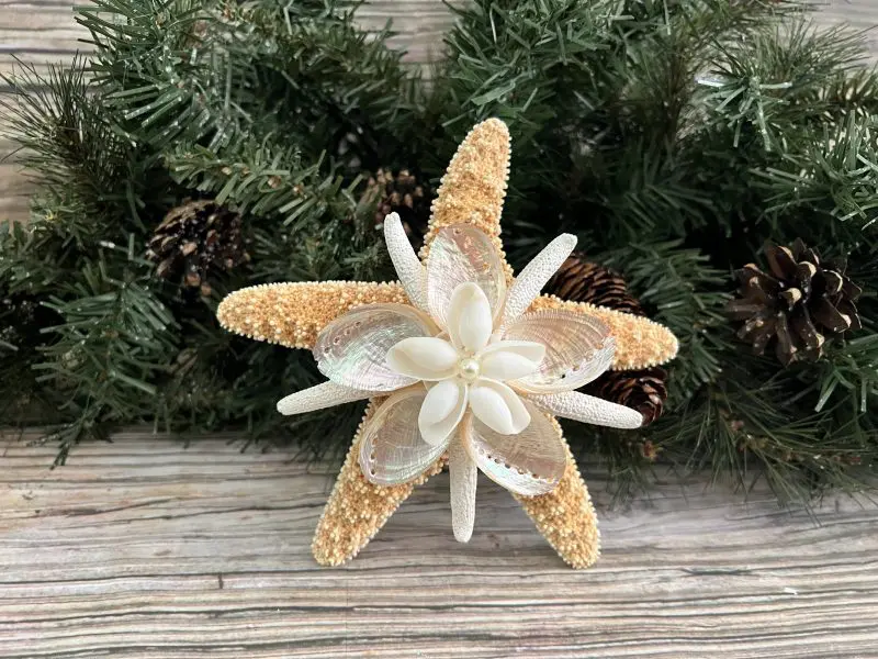 CT57 Sugar Pearl Starfish Tree Topper