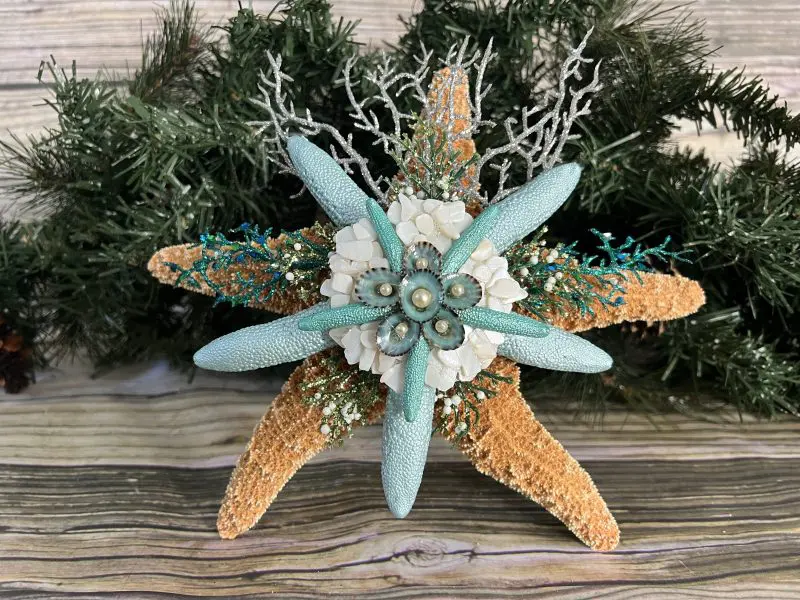 Sugar Starfish, 4 - 6 inch Large Starfish, Sea Star, Starfish Decor,  Aquarium Decor, Fish Tank Decor, Starfish for Crafts, Christmas Ornaments,  Real