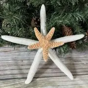 Double with sugar starfish tree topper