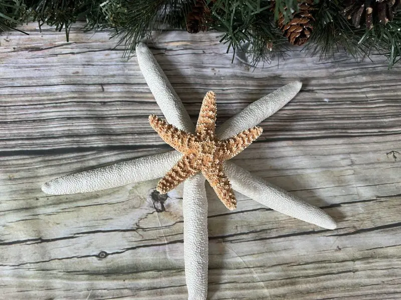 Double Starfish with Sugar Starfish 7 - 9 inch Tree Topper - Image 3