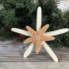 Nat double starfish topper 7 inches