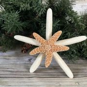 Nat double starfish topper 7 inches