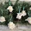 Tropical Natural Pink Murex Seashell Ornaments, 6